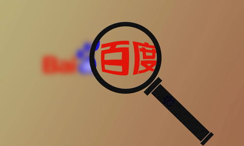 SEO蜘蛛池快速收录